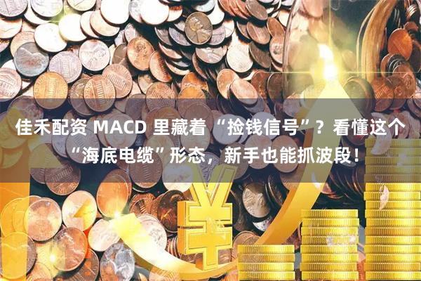 佳禾配资 MACD 里藏着 “捡钱信号”？看懂这个 “海底电缆”形态，新手也能抓波段！