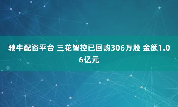 驰牛配资平台 三花智控已回购306万股 金额1.06亿元