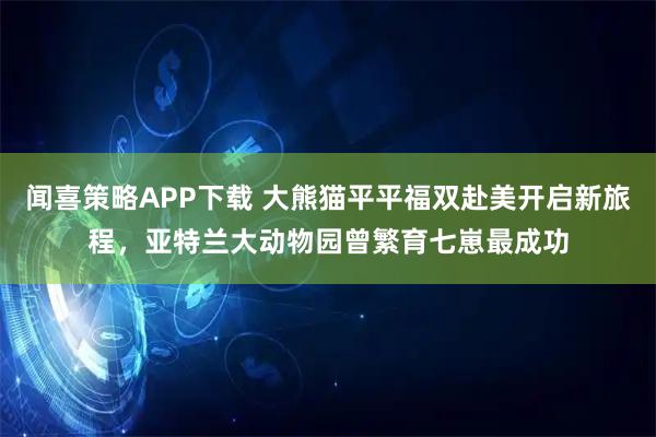 闻喜策略APP下载 大熊猫平平福双赴美开启新旅程，亚特兰大动物园曾繁育七崽最成功