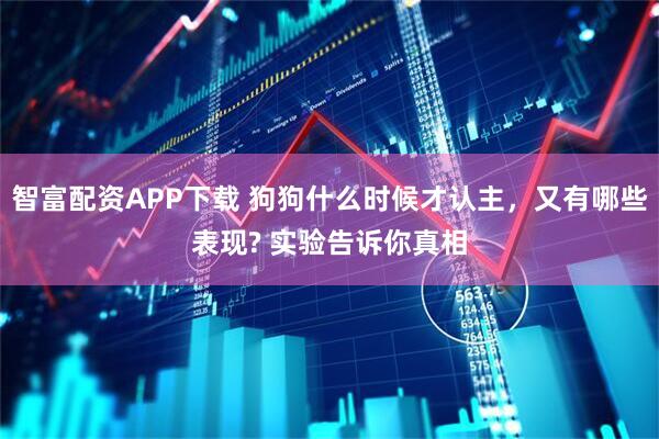 智富配资APP下载 狗狗什么时候才认主，又有哪些表现? 实验告诉你真相