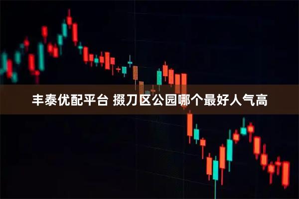 丰泰优配平台 掇刀区公园哪个最好人气高